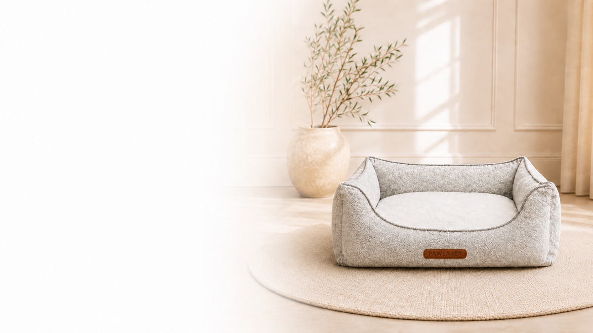 Euphoria Hundebett im Wohnraum